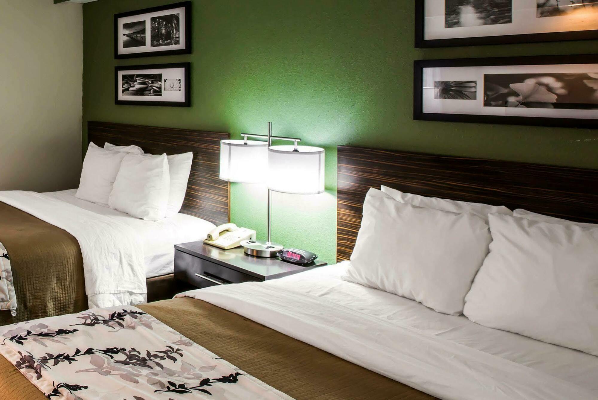 Sleep Inn & Suites Kingsport Tricities Airport Экстерьер фото