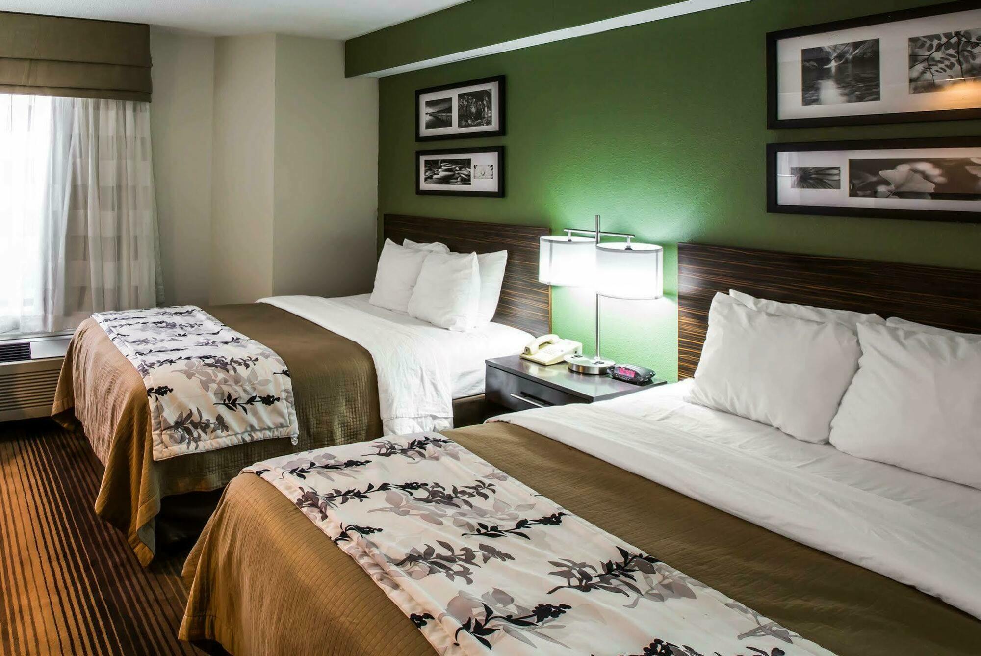 Sleep Inn & Suites Kingsport Tricities Airport Экстерьер фото
